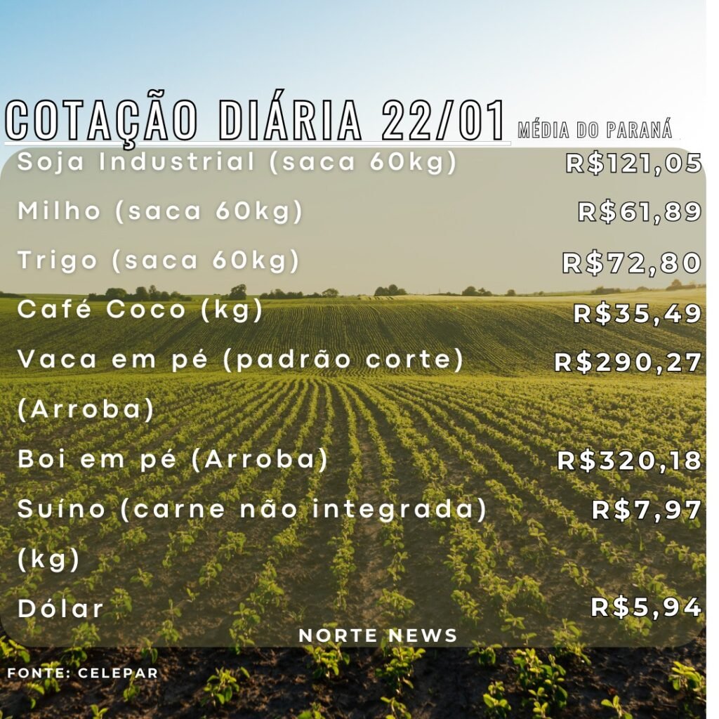WhatsApp Image 2025-01-22 at 12.56.58